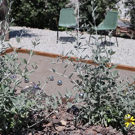 Frangimare - La Malandrina Malfa (Salina)